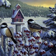 Схема вышивки «Kim Norlien»