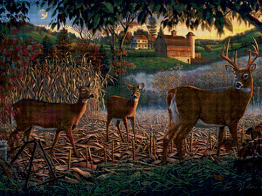 Kim Norlien - животные, олень, лес - предпросмотр