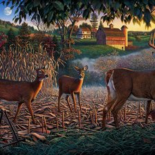 Схема вышивки «Kim Norlien»