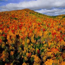 Схема вышивки «№73898»