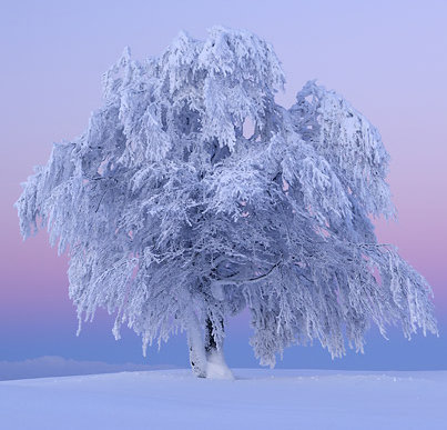 №73900 - оригинал