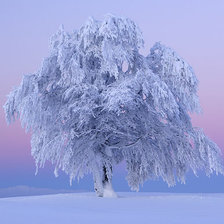 Схема вышивки «№73900»