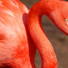 Схема вышивки «№73906»