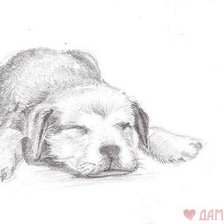 Схема вышивки «черно-белое»