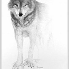 Схема вышивки «черно-белое»