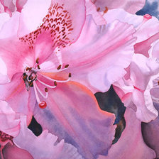 Схема вышивки «№73955»