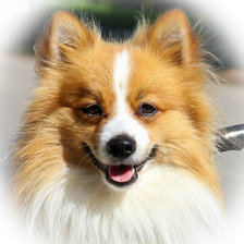 Схема вышивки «довольная мордаха.»