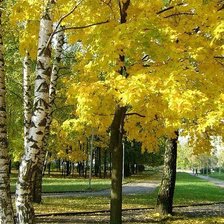 Схема вышивки «осень»