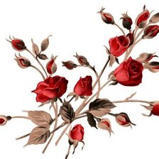 Схема вышивки «Розы»