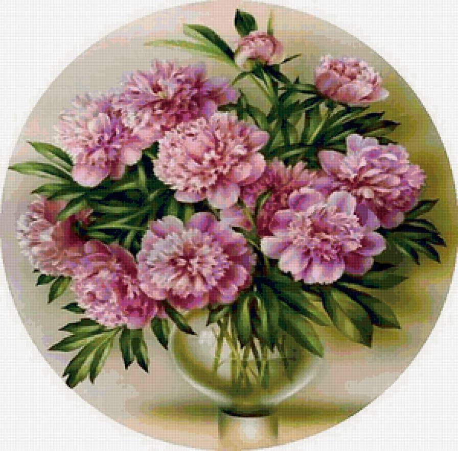 піони - предпросмотр