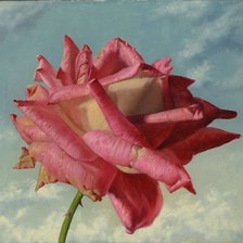 Схема вышивки «Серия "Соло с розой"»