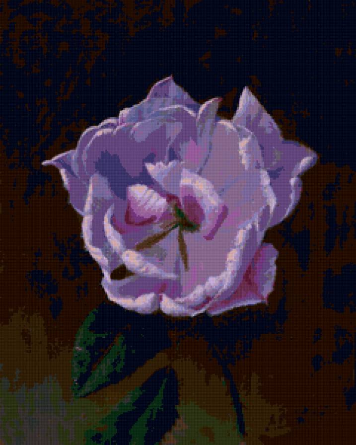 Серия "Соло розы" - роза, цветы - предпросмотр