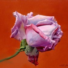 Схема вышивки «Серия "Соло розы"»