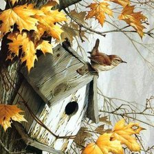 Схема вышивки «птичка»