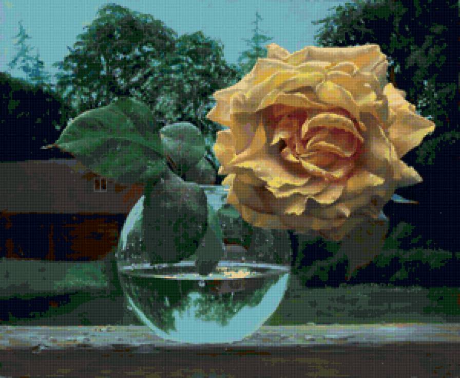 Серия "Соло розы" - роза, цветы - предпросмотр