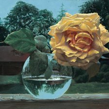 Схема вышивки «Серия "Соло розы"»