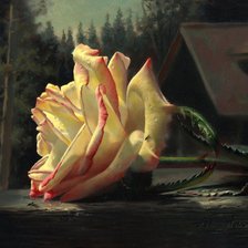 Схема вышивки «Серия "Соло розы"»