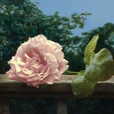 Схема вышивки «Серия "Соло розы"»