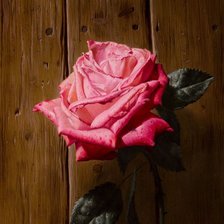 Схема вышивки «Серия "Соло розы"»