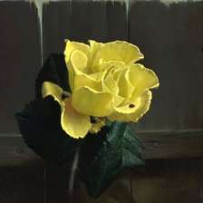 Схема вышивки «Серия "Соло розы"»