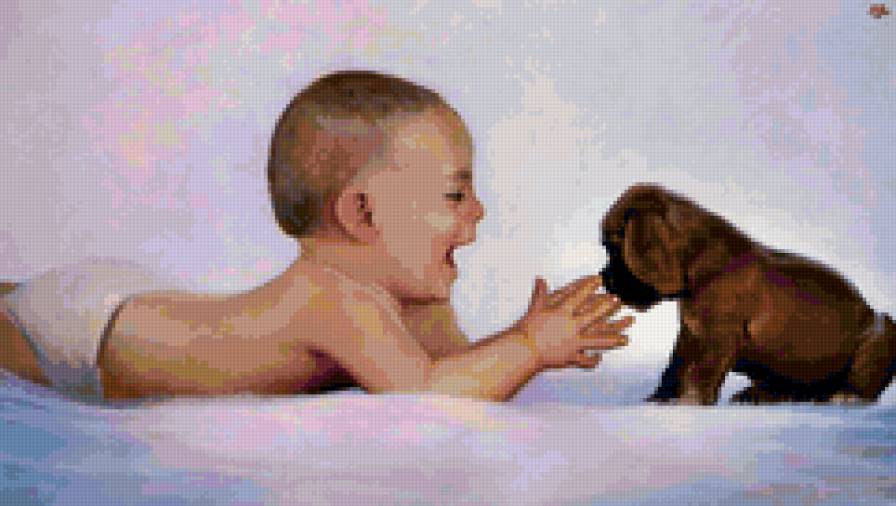 №74305 - предпросмотр