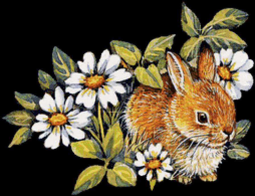 зайчик - зайчик - предпросмотр