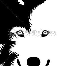 Схема вышивки «волк бисер»