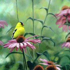 Схема вышивки «№74345»