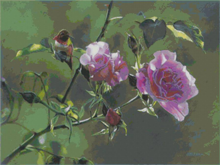 №74348 - розы, цветы, птицы - предпросмотр