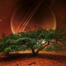 Схема вышивки «№74371»