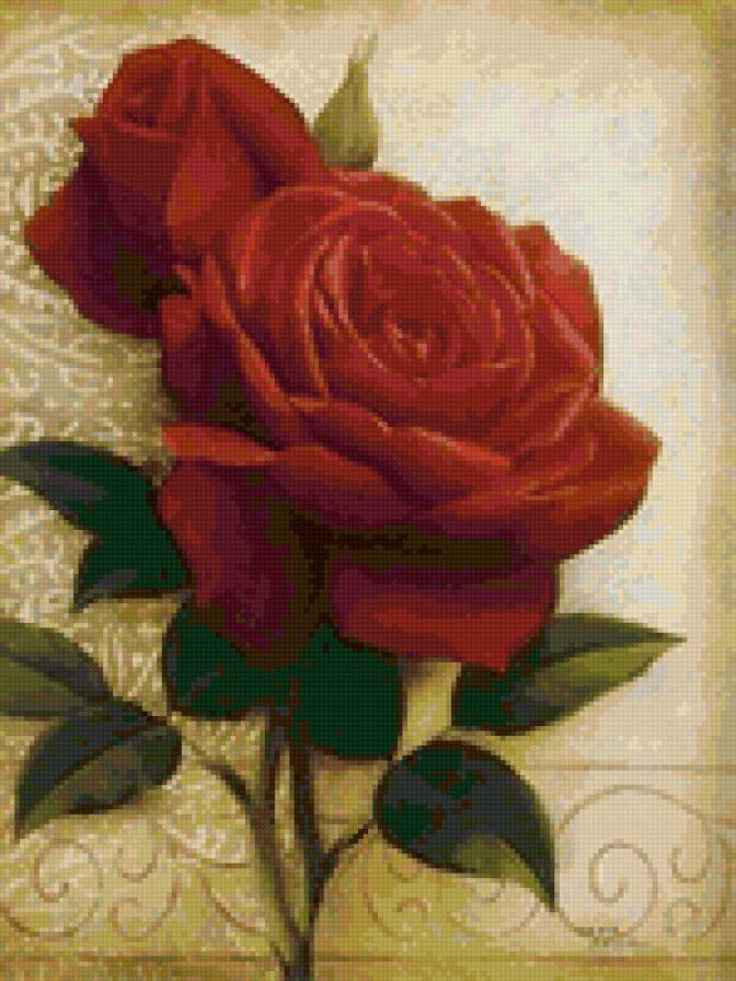 красная роза - цветы, розы - предпросмотр