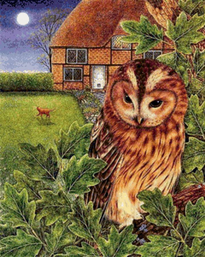 Сова на ветке дуба - сова, природа, дуб, дом, дерево - предпросмотр