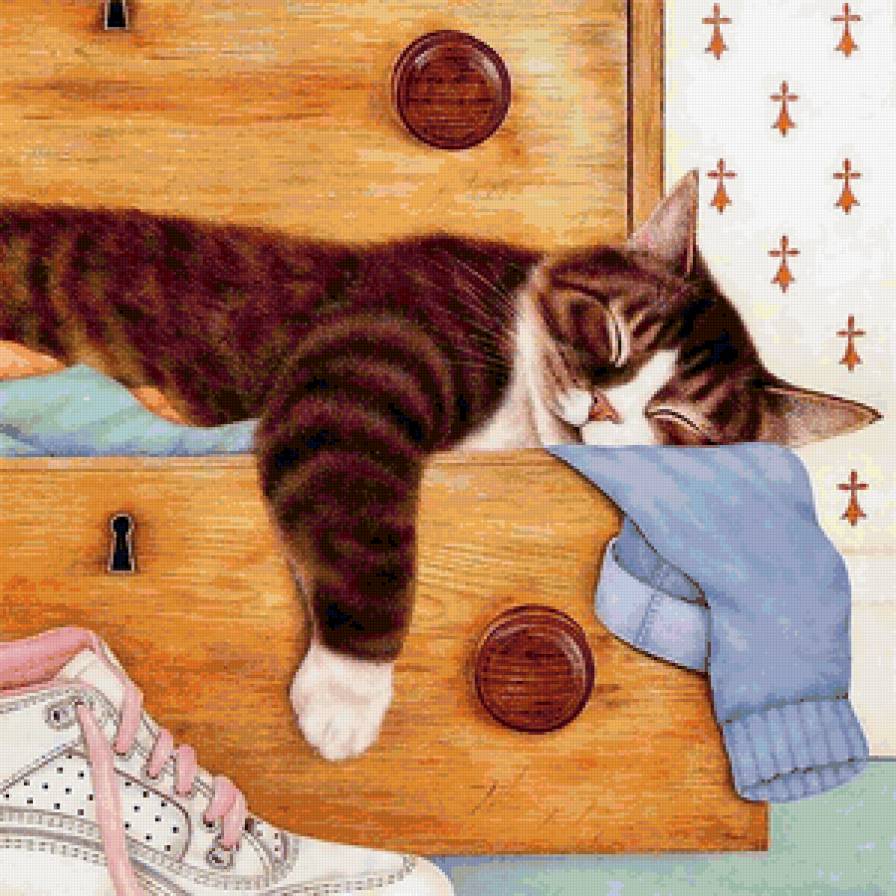 Устал - кошка, животные, сон - предпросмотр