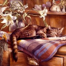 Схема вышивки «Кот - лентяй»