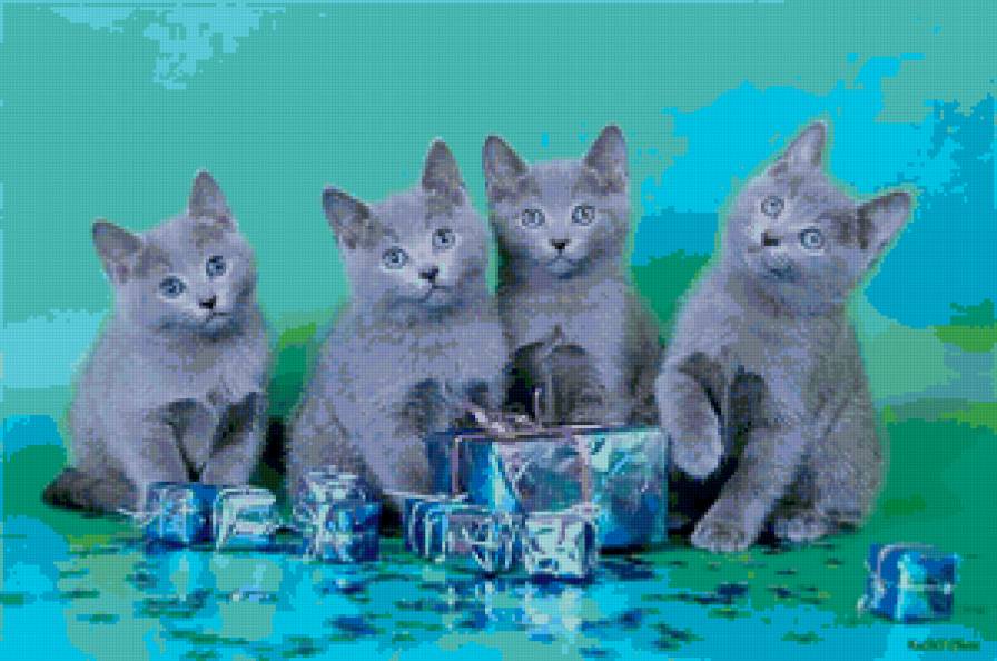 Подарки - котенок, кошка, животные - предпросмотр