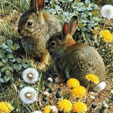 Схема вышивки «Зайчики»