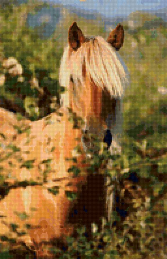 Загадочная красавица - животные, лошадь, конь - предпросмотр