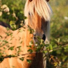Схема вышивки «Загадочная красавица»