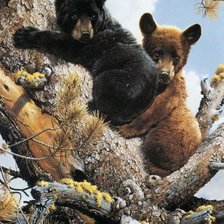 Схема вышивки «Медвежата»