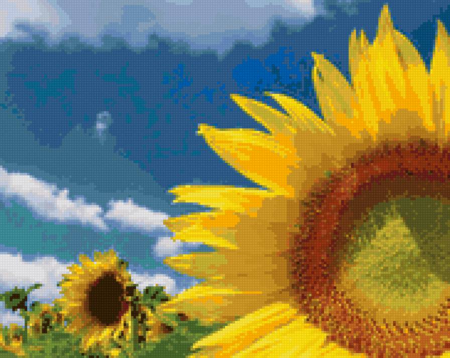 подсолнух - предпросмотр