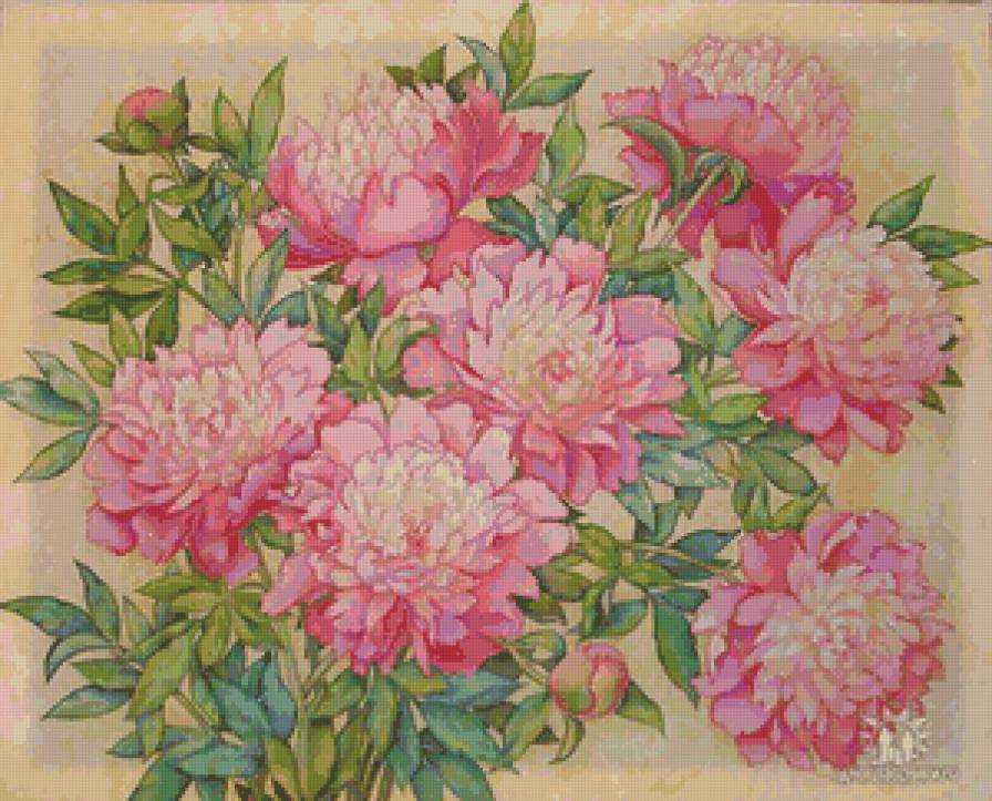 пионы - цветы, пионы, живопись - предпросмотр