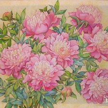 Схема вышивки «пионы»