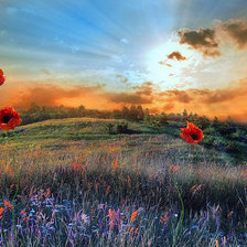 Схема вышивки «маки на закате»