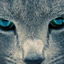 Схема вышивки «№74793»