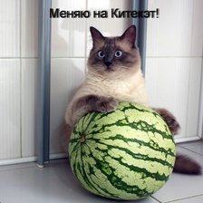 Схема вышивки «серия "животные"»