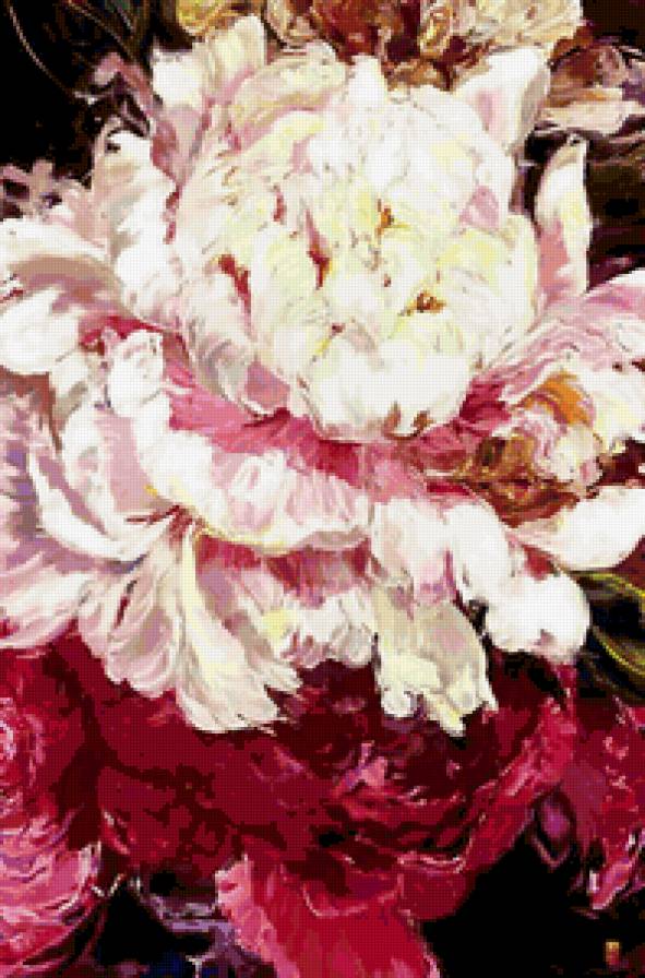 Пион - цветы, пионы - предпросмотр