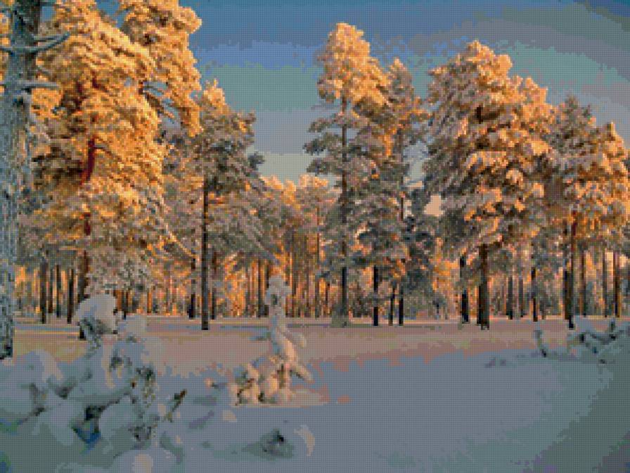 Опушка леса - пейзаж, лес, природа, зима - предпросмотр