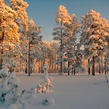 Схема вышивки «Опушка леса»