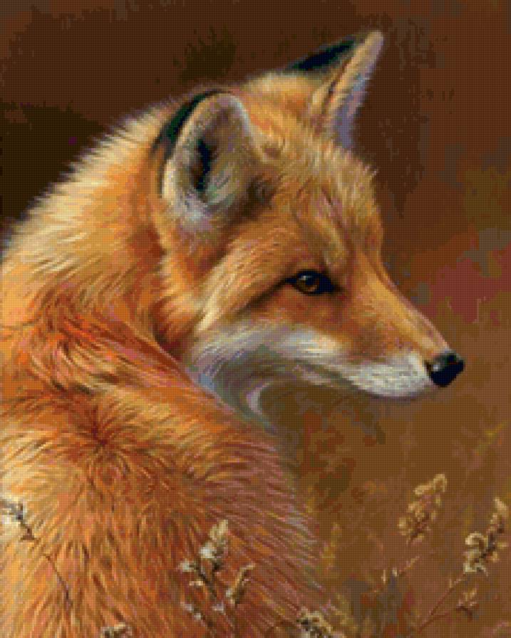 Лиса - животные, лиса - предпросмотр