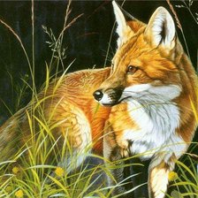 Схема вышивки «Лиса»